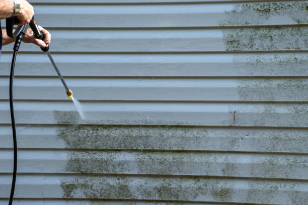 Best Siding Painting and Refinishing  in Rohnert Park, CA